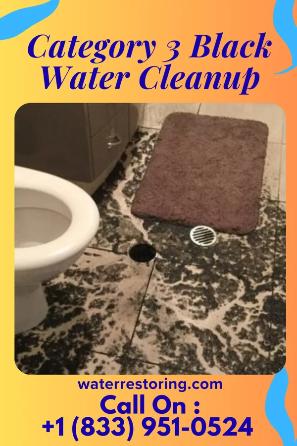 Category 3 Black Water Cleanup in Summit, AZ