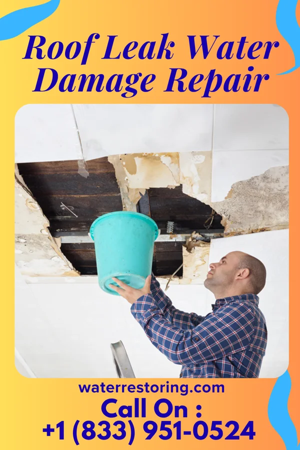 Roof Leak Water Damage Repair in Summit, AZ